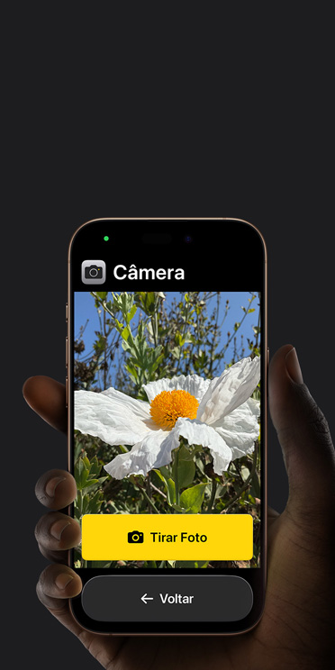 Tela do iPhone 16 Pro com a interface simplificada do app Câmera. Uma flor rosa aparece enquadrada, com os botões “Tirar Foto” e “Voltar” exibidos abaixo.
